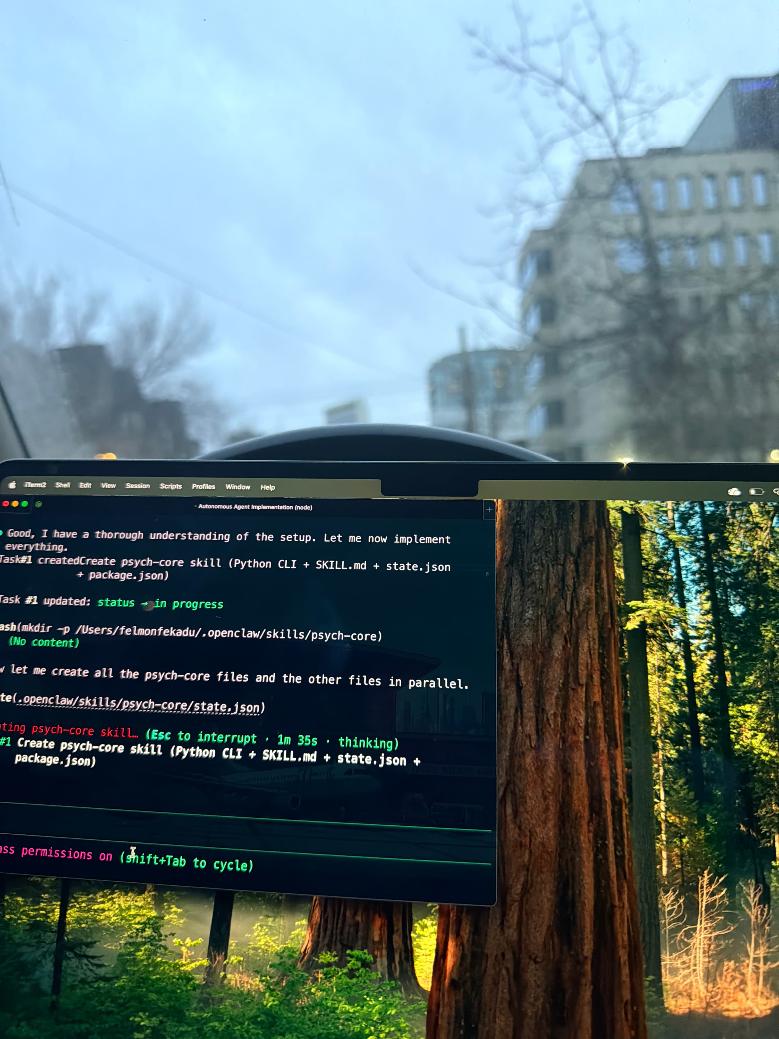 Felmon Fekadu portrait